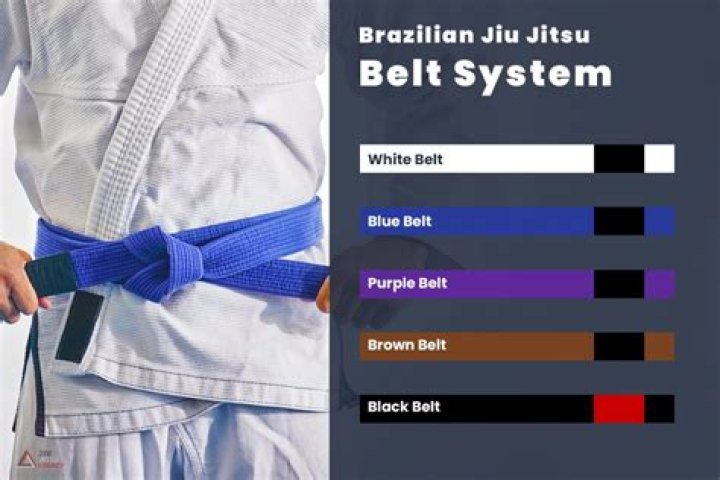 What do you call a BJJ black belt?